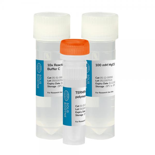 TERMIPol<sup>®</sup> DNA Polymerase Kit