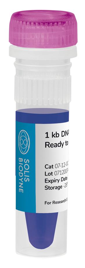 1 kb DNA Ladder Ready to Load